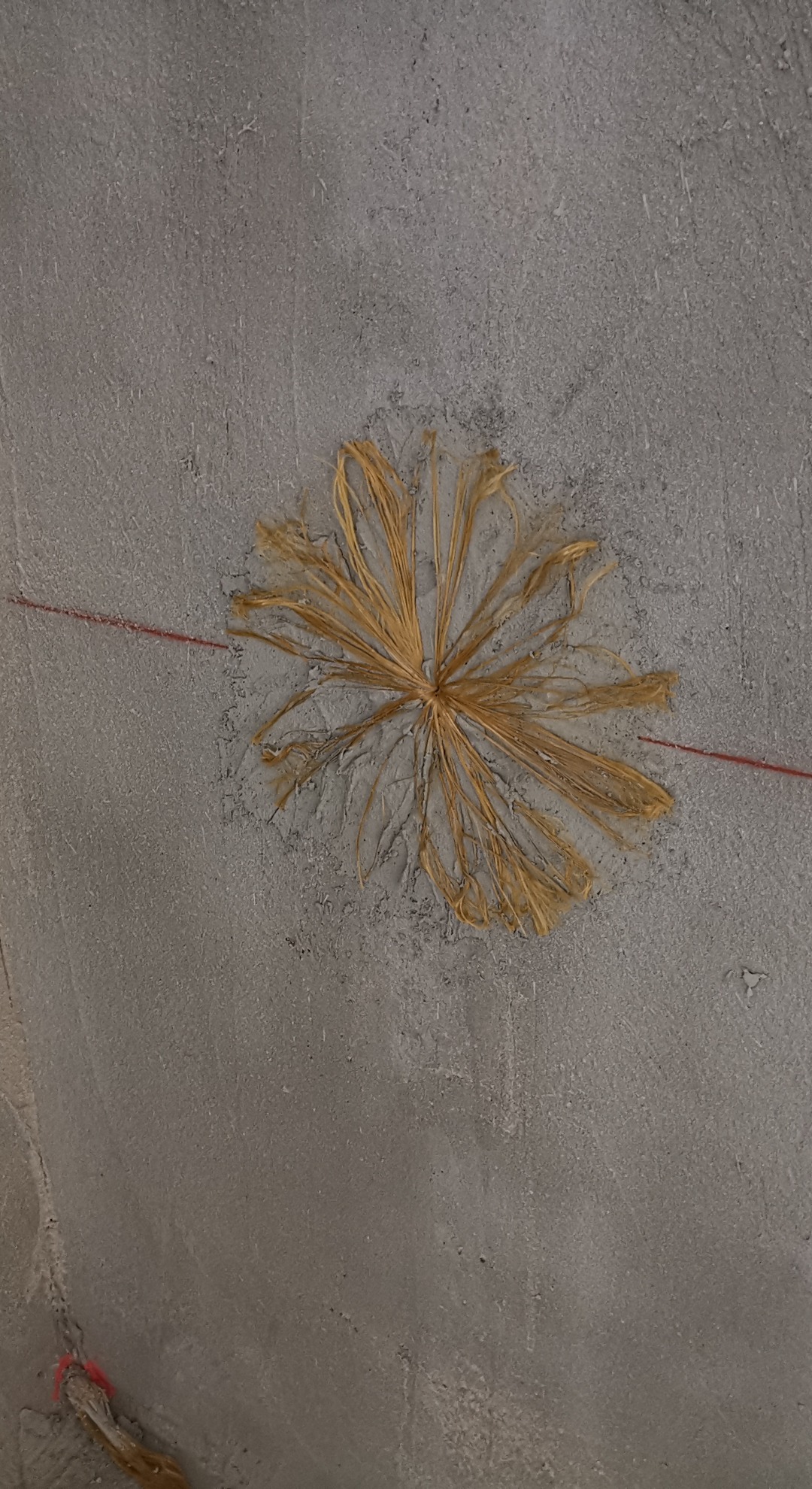 PBO-JOINT-frcm-ruregold